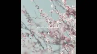 Blue Pastel Minimal Nature Peace Love Peaceful Field Video Instagram Post