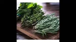 Sacred Herbs of Spring, Magical, Healing, and Edible Plants with Ellen Hopman