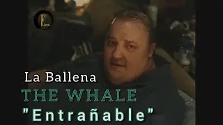 La ballena I The Whale IBrendan Fraser IDarren Aronofsky I Entra&ntilde;able I Rese&ntilde;a sin spoilers