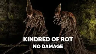 Duo Kindred of Rot [ Seethewater Cave ] | Solo | No Damage | Elden Ring