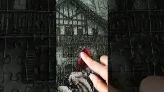 Oddly Satisfying | The Last Piece of Heye Jigsaw Puzzle
