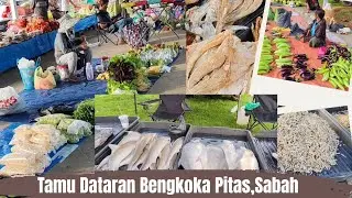 Tamu Tepi Laut Dataran Bengkoka Pitas Sabah