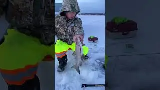 #firstcatch #whitefish #icefishing #fishing