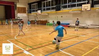 Astera #23