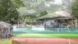 2015 Taste of Olean and Art in the Park