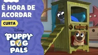 É hora de acordar | Brincando com Bingo e Rolly | Puppy Dog Pals