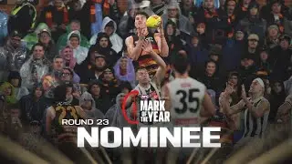 Curtin soars above the pack | Round 23 Mark of the Year nominee