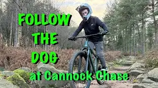 Follow the Dog Trail (Red) FULL LOOP at Cannock Chase MTB - Age 9 - Father and Son - Calibre Line T2