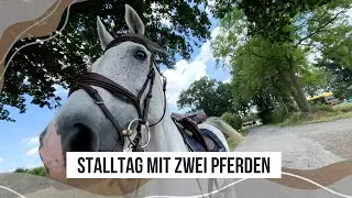Bonja &auml;u&szlig;erst unentspannt 😈 // STALLVLOG und AUSREITEN