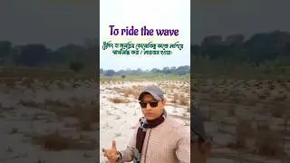 Ride the wave এই গুরুত্বপূর্ণ Idiom টির অর্থ জানেন কি?