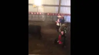 Cal's first mini bull ride!!!!!