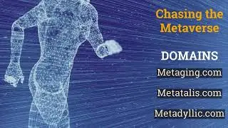 Metaverse Domains 1