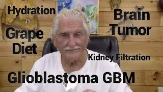 Dr. Robert Morse GLIOBLASTOMA GBM - BRAIN TUMOR - HYDRATION - GRAPE DIET #754