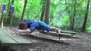 Forest Workout