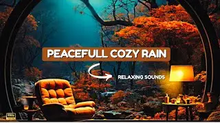 🌧️Magical Cozy Forest Retreat &ndash; Aesthetic Relaxing Ambience for Peaceful Mind