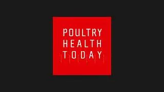 Poultry Farm Biosecurity, Interview with Nathaniel Tablante, DVM