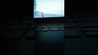 The Forest FlyMode