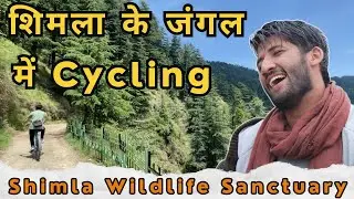 EP.15 Shimla में यहाँ आकर करें Cycling | Exploring the Green Valley of Kufri Shimla on Cycle