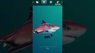 Являюсь ли я неправым, отказываясь дать соседям ключ от дома? #AITA #Reddit #Drama #Shorts #story...