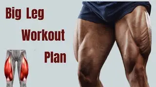 Big Leg Workout Plan