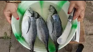 How to clean and cut a whole fish before cooking | cut and clean mackerel fish
