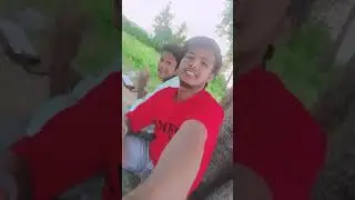 Humma telangani daari mein toh the pawal lagelu saree mein