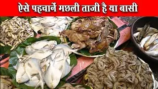 ताजी मछलियां कैसे खरीदे 🦐🐬🐠❤️ #fish #fishing #vlog