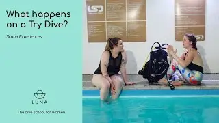 What happens on a Try Dive? One of our students explains all!