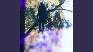 Spook Season
