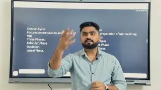 Basics of Menstrual Cycle – Part 1 | Introduction & Overview
