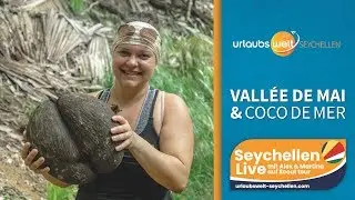 Zauberhaftes Vallée de Mai & Coco de Mer, Seychellen