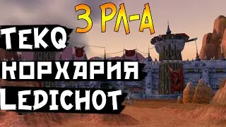 Pandawow x100 Аутдор Разбор ОГРИ