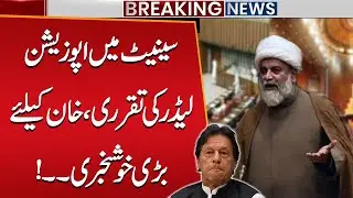 Great News for Imran Khan | Senate Opposition Leader Selected | Big Update | Public News