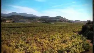 Bodegas Labastida