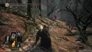 Dark Souls 3 Holy Knight Hodrick Easy Kill