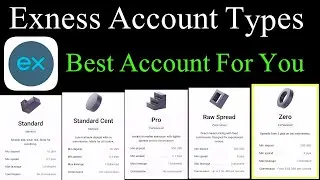 Exness Types of Accounts Explained in 2026 | Standard, Pro, Raw & Zero Account