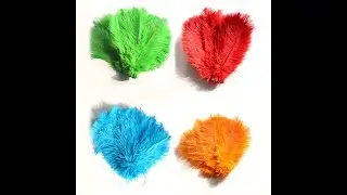 Wholesale Cheap Colorful Ostrich Feather