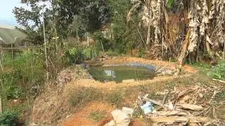 Nepali farmers abandon rice as monsoon shifts