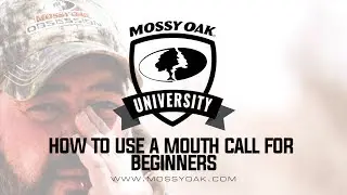 How to Use a Mouth Turkey Call for Beginners