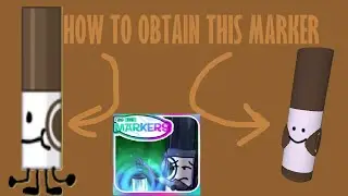 How to find Cedar Marker in Find the Markers