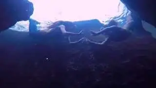 Mermaid Hyli and Mermaid Hales Visit Wekiva Springs 2015