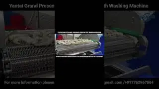 Yantai grand Machinery Present Automatic Shrimp Filth Washing
