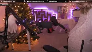 AlinityDivine