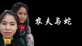 泰国退休女教师被老挝女佣杀害 y40
