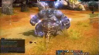 Tera Elin Slayer vs World Boss (BAM) Thunderwalker