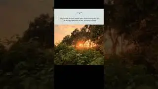 Islamic Videos || Islamic Status || Quran translation #islamicstatus #islamicvideo #shorts