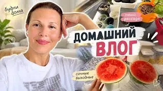 USA Vlog Family Vlog