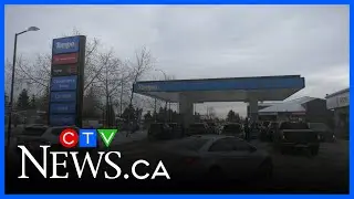 Could a drop in oil prices lead to a larger deficit? Economics professor on low gas prices