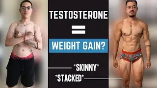 Why Testosterone makes you gain weight | FTM Science explained