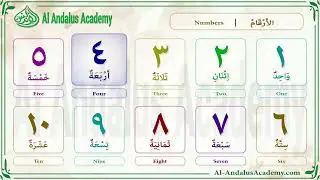 Arabic Numbers - الأرقام